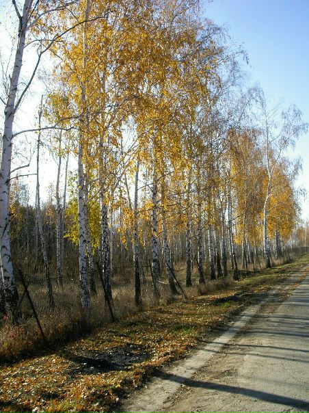 №87, Иван Омельченко, Одесса №87, Иван Омельченко, Одесса