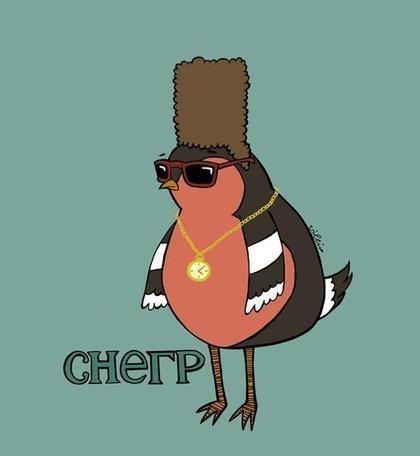 Алина Гридасова сладость | Краснодар