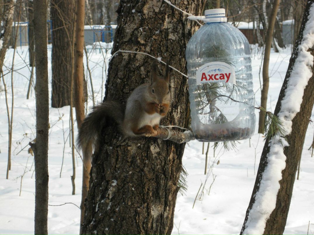 Сергей Даладов | Москва