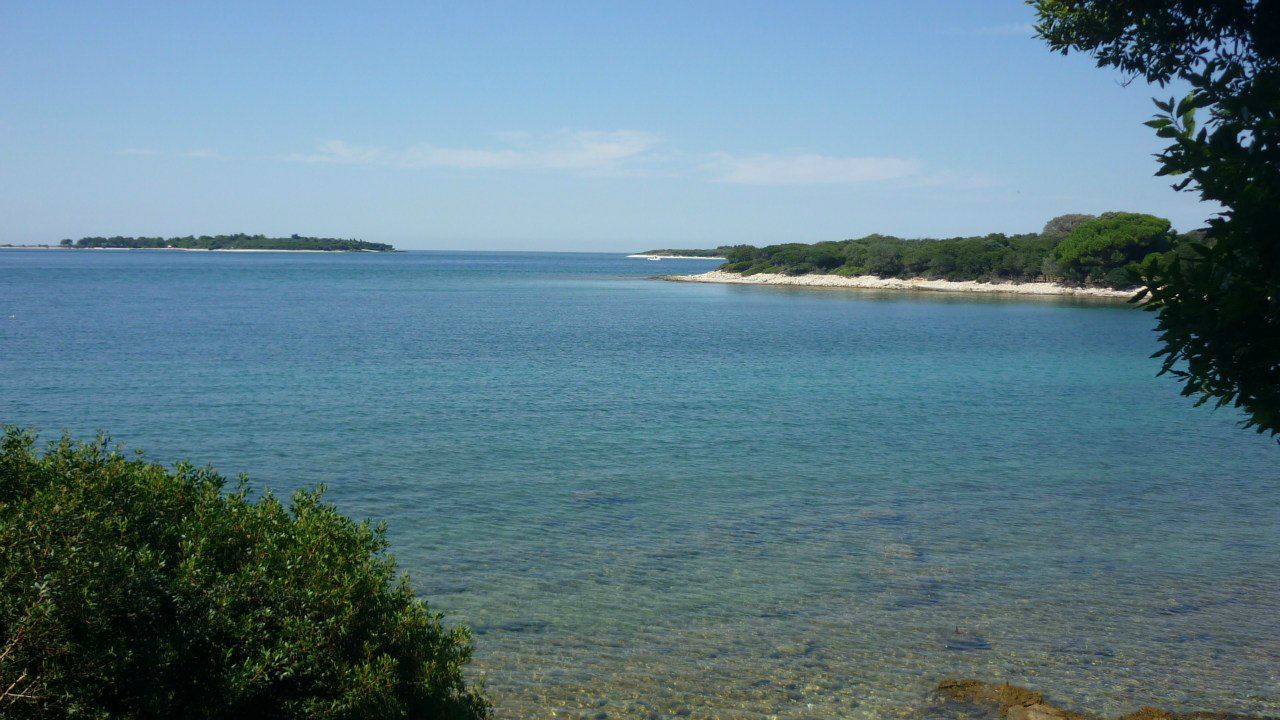 Юрий Юша | Ростов-на-Дону