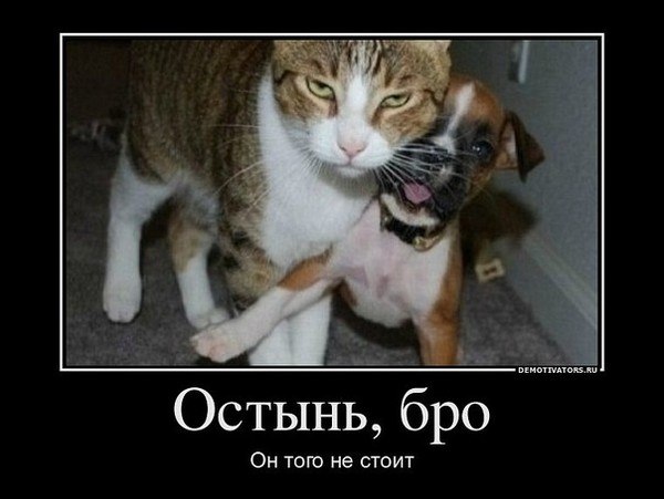 Арман Токсанов | Актау