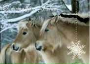 №40 Евгения Кудрявцева 04.11: профиль, фото, статус - ВКонтакте