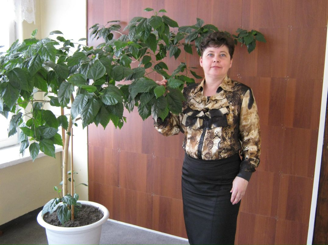 Galja Akulowa | Воронеж