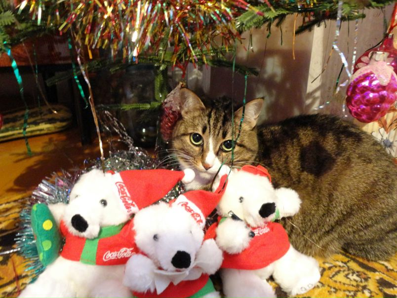 №22, Римма Ильбулатова, Казань №22, Римма Ильбулатова, Казань