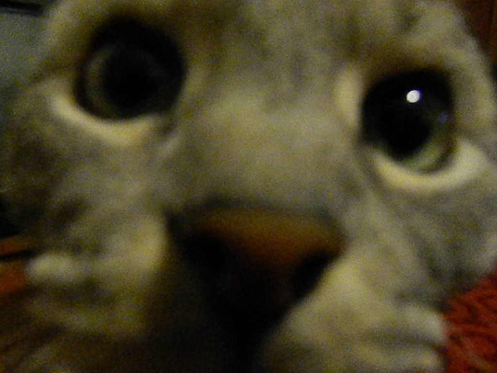 Руслан Лукманов Kyzya | Челябинск