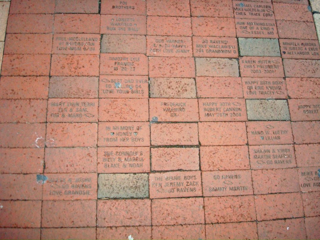 Ольга Игнатова | Санкт-Петербург