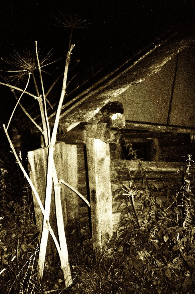 Игорь Ершов | Санкт-Петербург