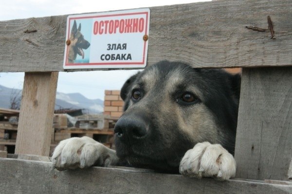 Рафаэль Сенатулов | Москва