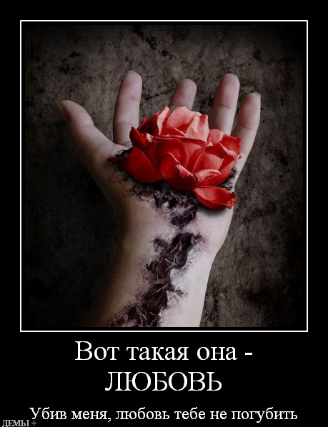 №84, Екатерина Волкова №84, Екатерина Волкова