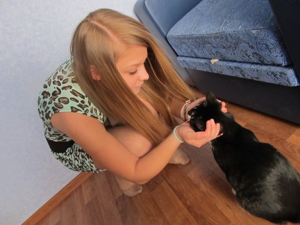 №146, Диана Козлова №146, Диана Козлова