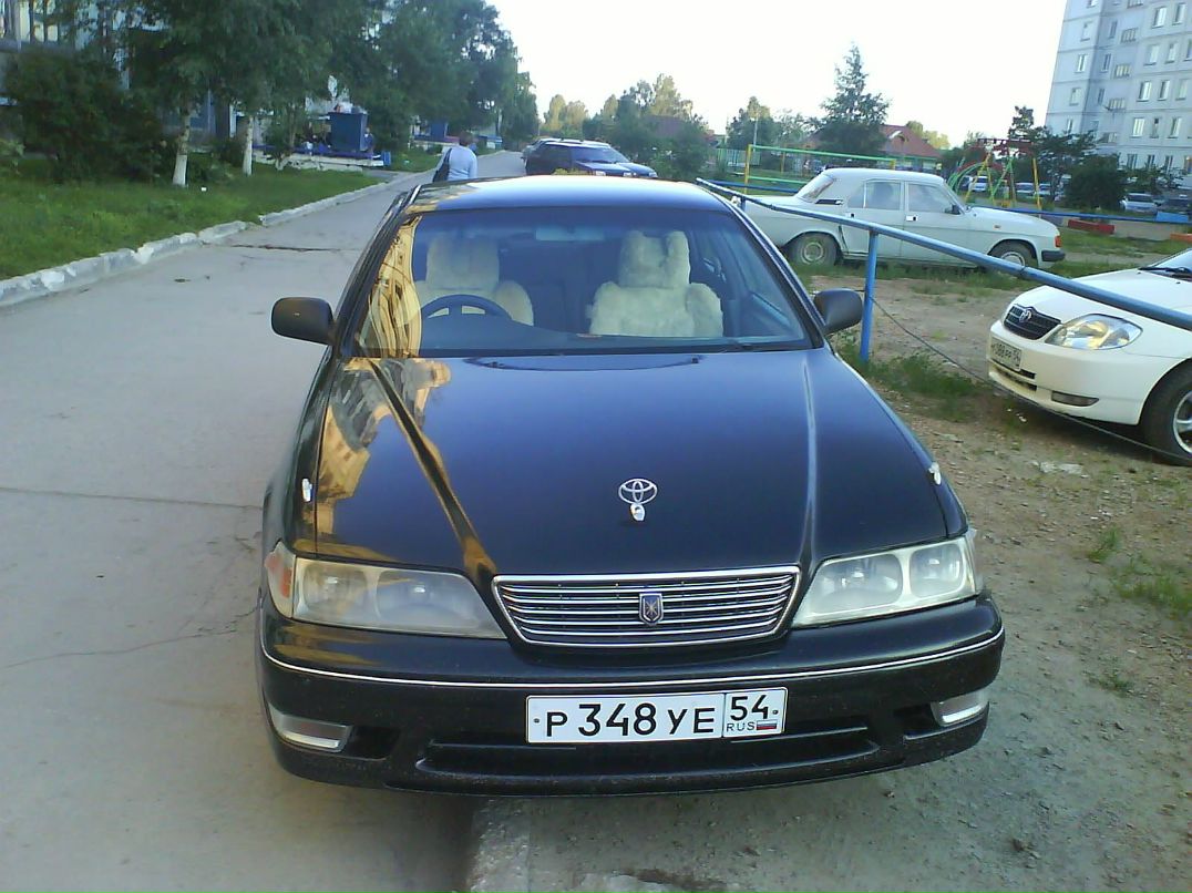 Алексей Подстригань | Новосибирск