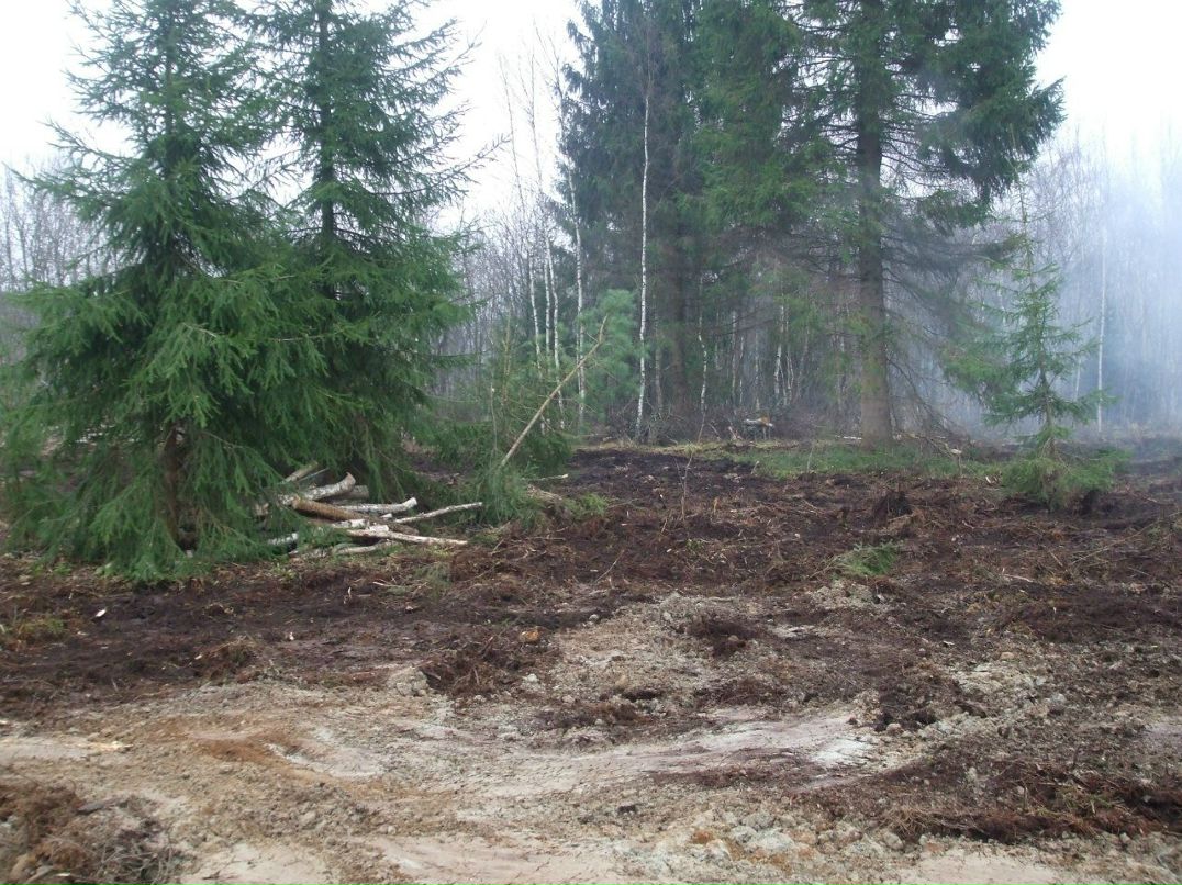 Михаил Андриенко | Санкт-Петербург