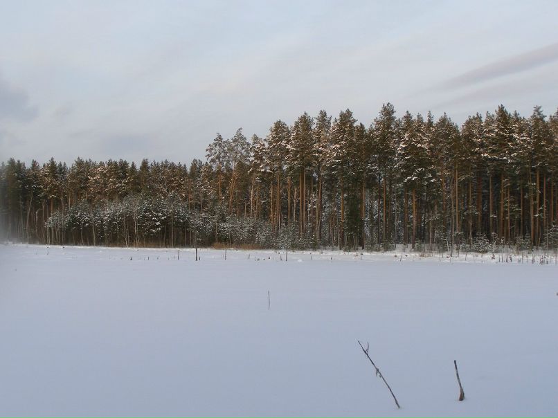 Алексей Друзин | Алатырь