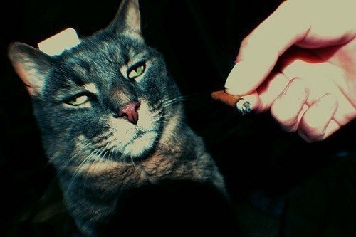 Игорь Крутёв | 