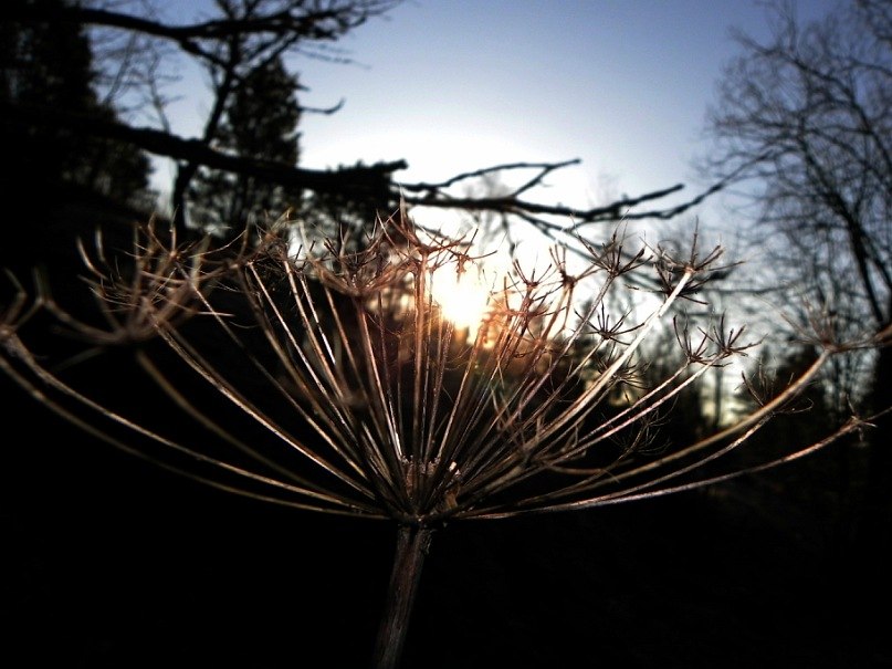 Роман Фігурка ✈̲ | Львов