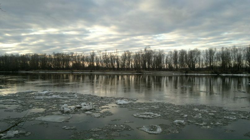 Андрей Поролло | Бровары