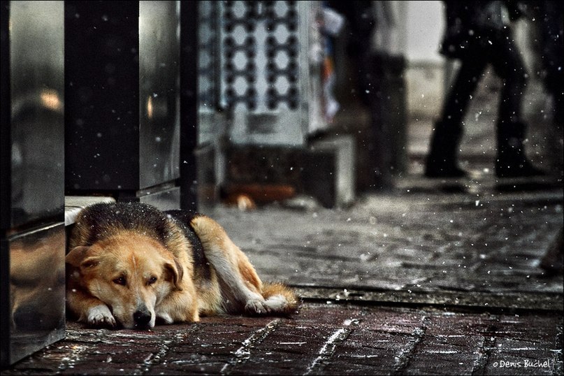 Андрей Исаков | Санкт-Петербург