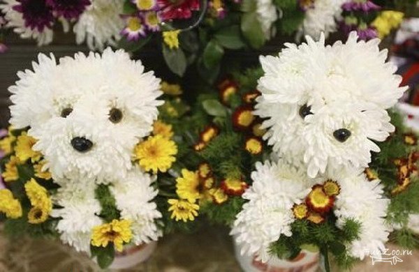 Наташа Скворцова | Белгород