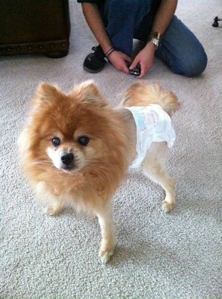 №82, Paige Bynum, Kansas City №82, Paige Bynum, Kansas City