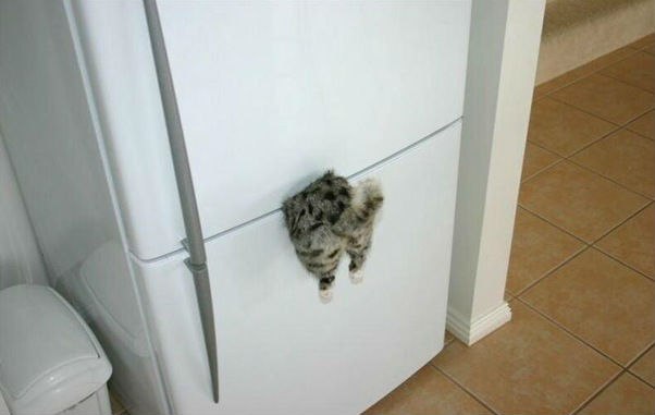 Юлия Ушакова | Москва