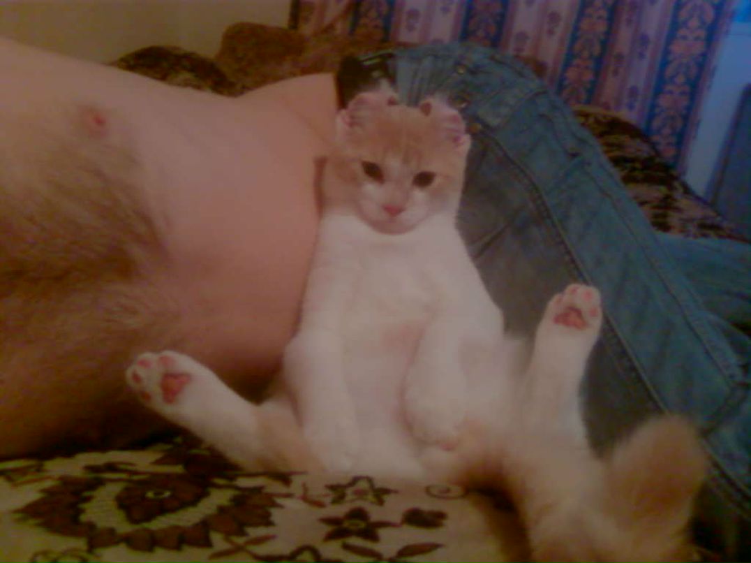 Дима Щербинин | Санкт-Петербург