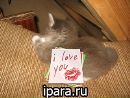 Фотография Сергей Зубарев