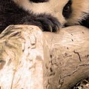 №99, Алина Деревянко, Харьков №99, Алина Деревянко, Харьков