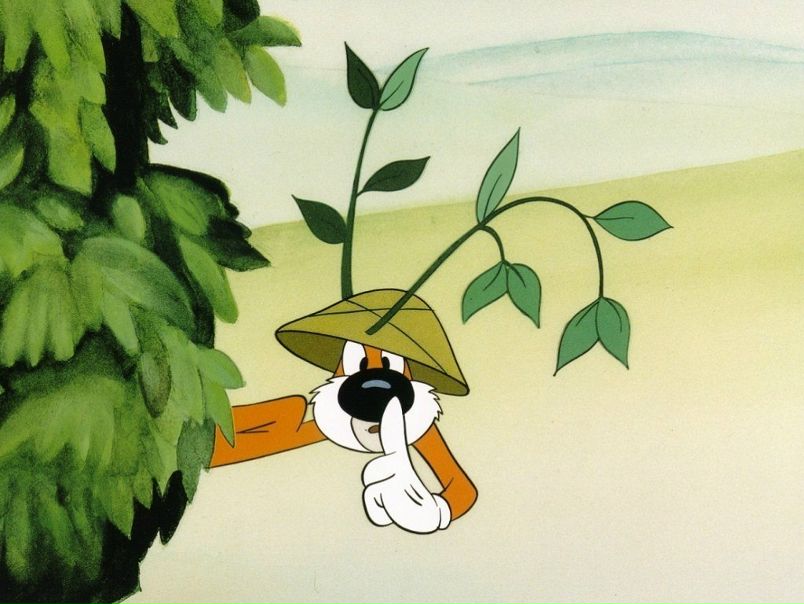 №3, Евгений Терехов, Донецк №3, Евгений Терехов, Донецк