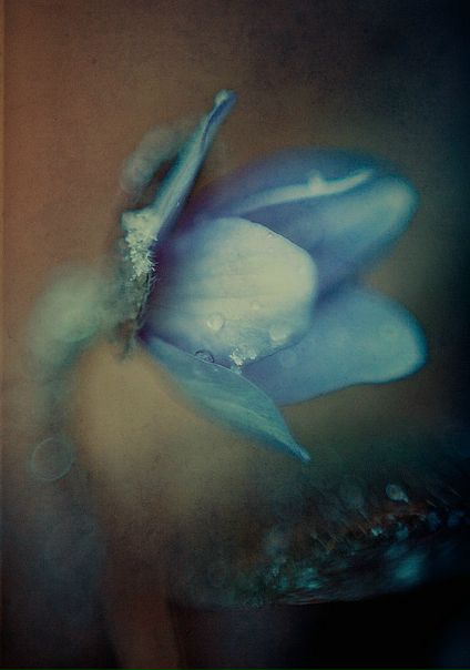 №9, Ольга Таранова, 40 лет, Киев №9, Ольга Таранова, 40 лет, Киев