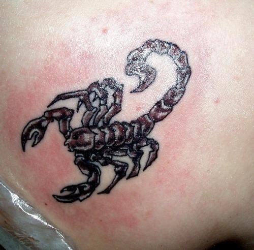 Илья Барзда ~Scorpion~ | Иркутск