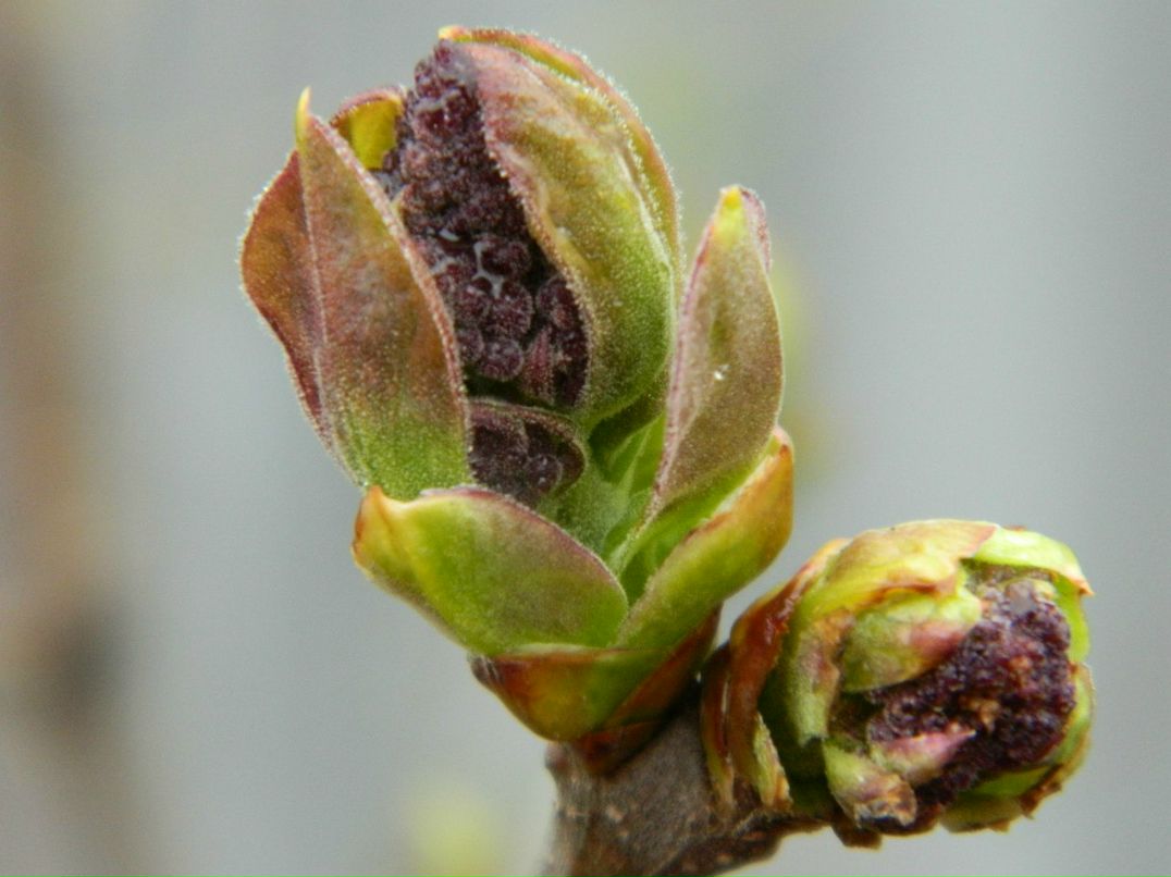 Виталий Михалюк | Киев