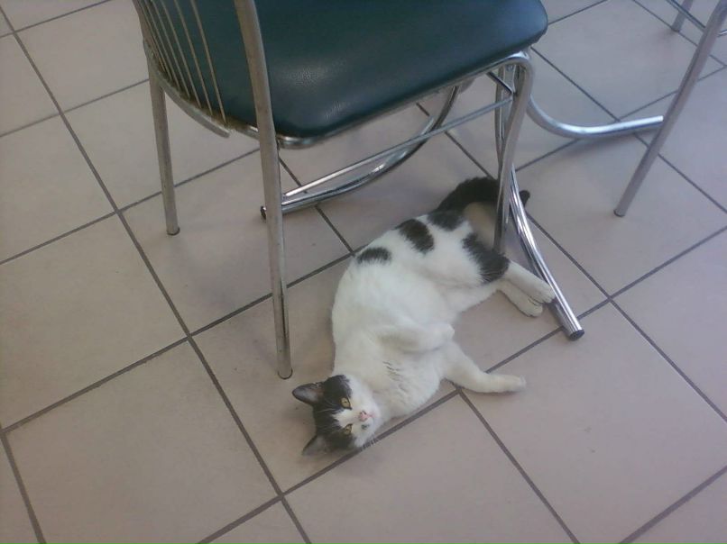 Vasja Masja | Харьков