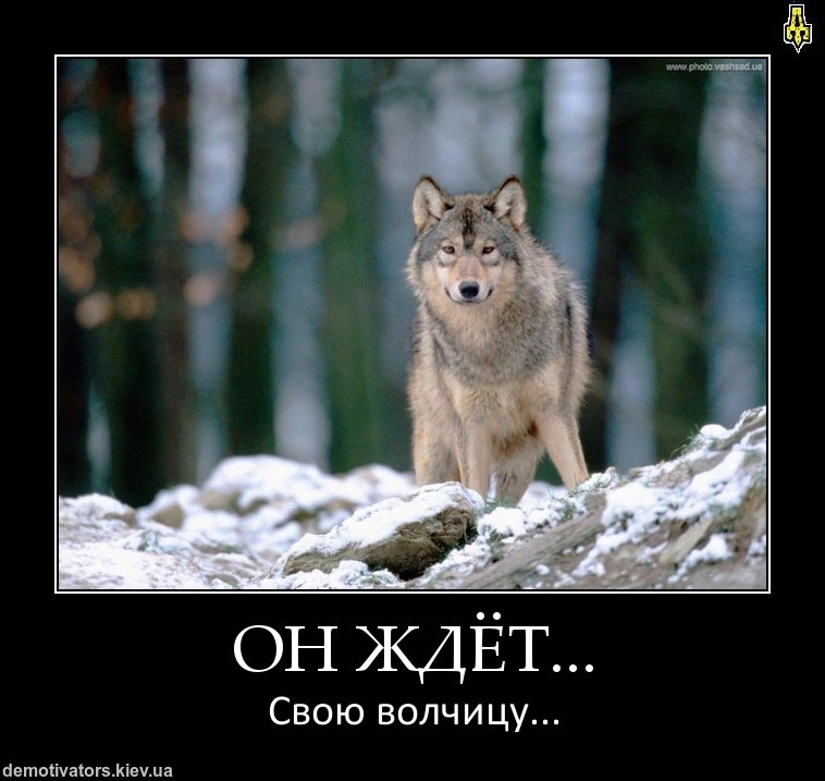 Иван Дрозд | Sihanoukville