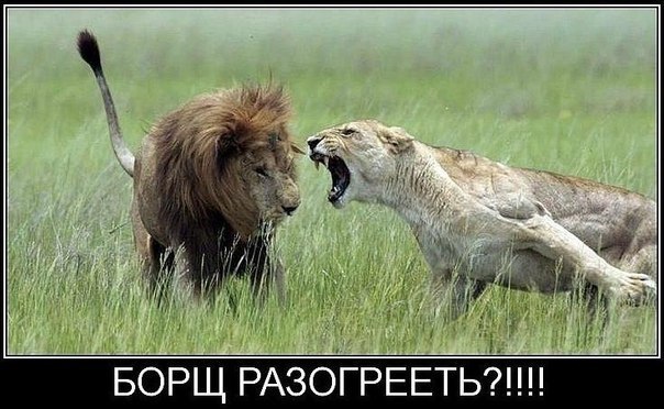 Вова Кузьменко | Харьков