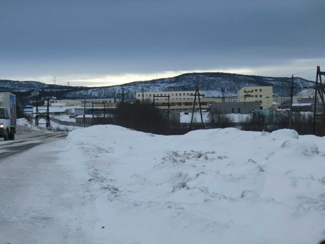 Дмитрий Ивкин | Сокол