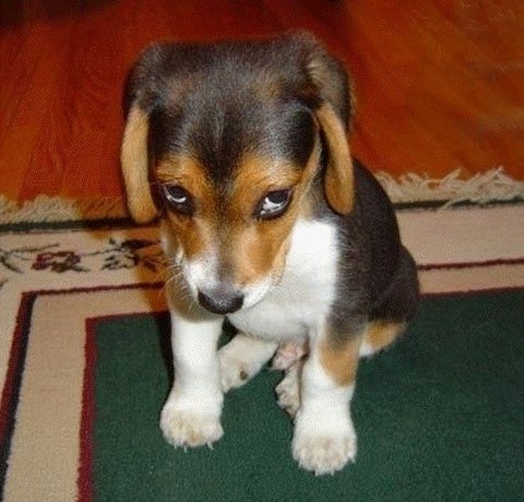 №144, Dana Smurova, 30 лет, Киев №144, Dana Smurova, 30 лет, Киев