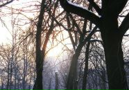№7 Екатерина Малюгина : профиль, фото, статус - ВКонтакте