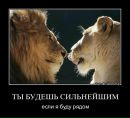 Фотография Юлия Юлия