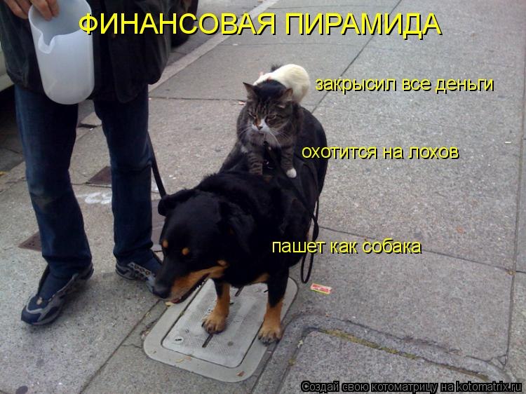 Ольга Незнамова | Санкт-Петербург