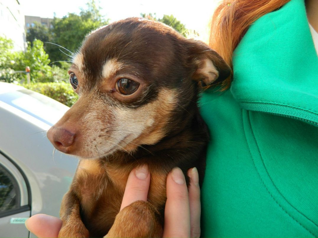 Татьяна Иденова | 