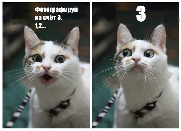 Дячук Сергей | Полтава