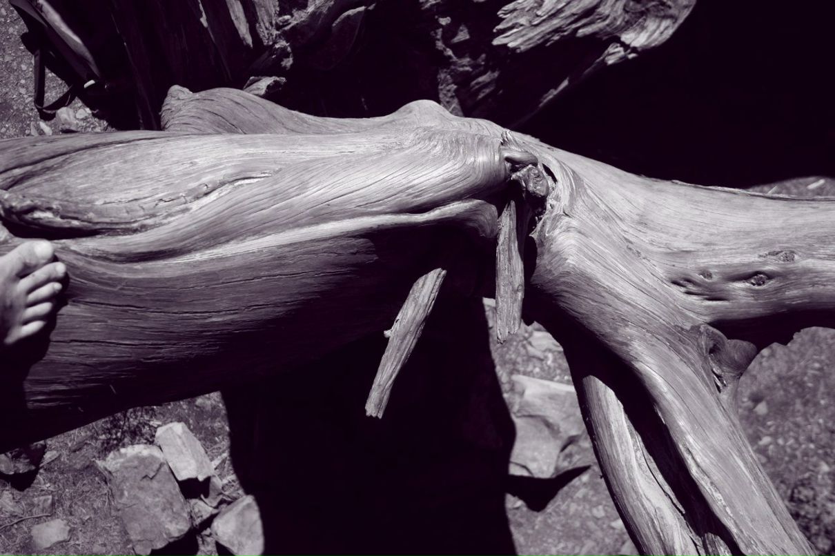 Julian Murasov | Москва