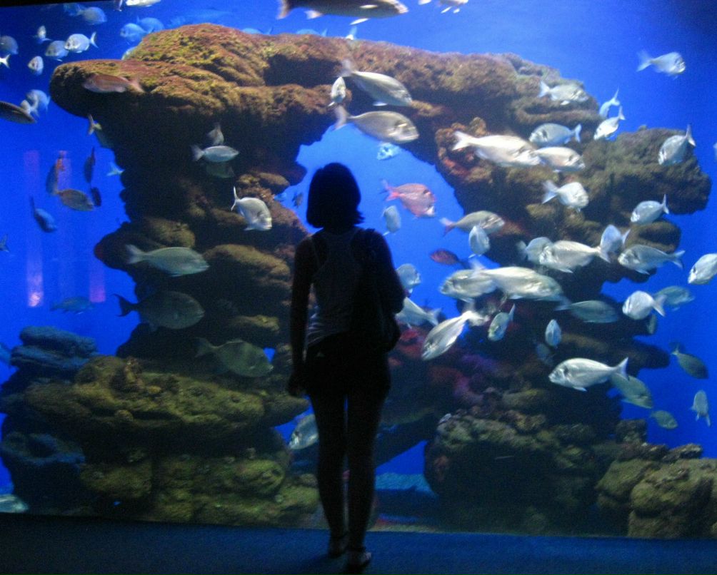 Нина Загарских | Тура