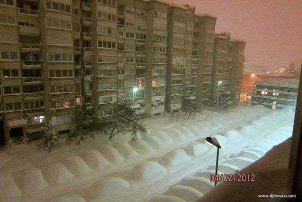 Наталья Цынгаль | Николаев