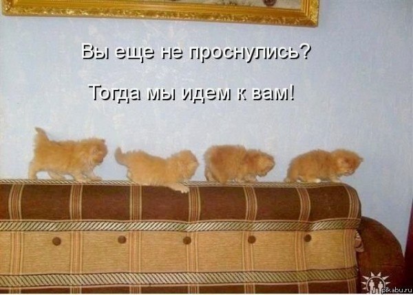 Елена Большакова | Санкт-Петербург