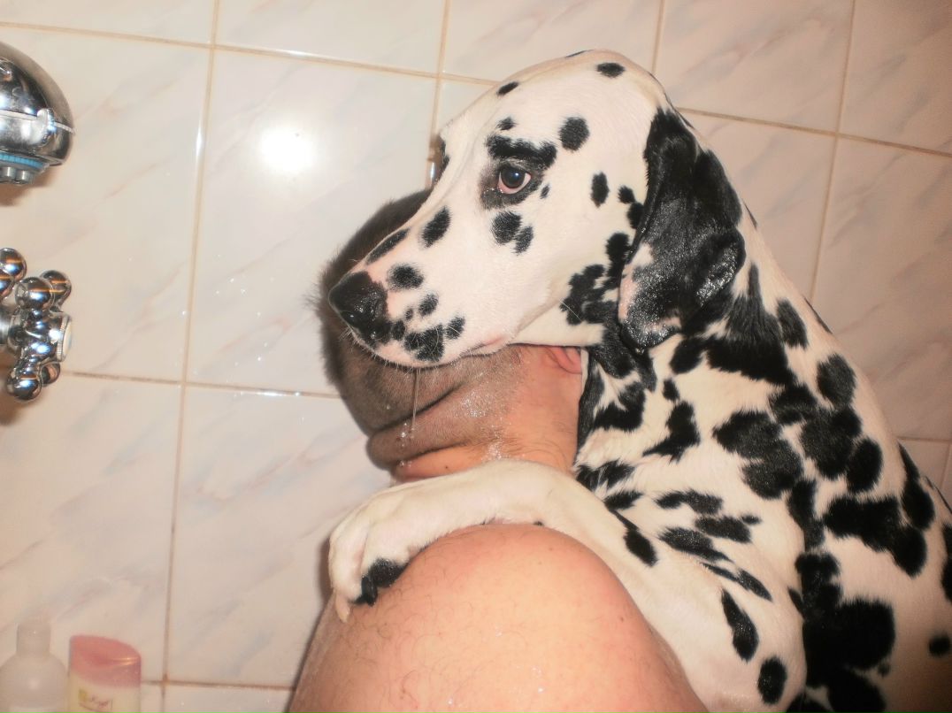 Андрей Барсук | Екатеринбург