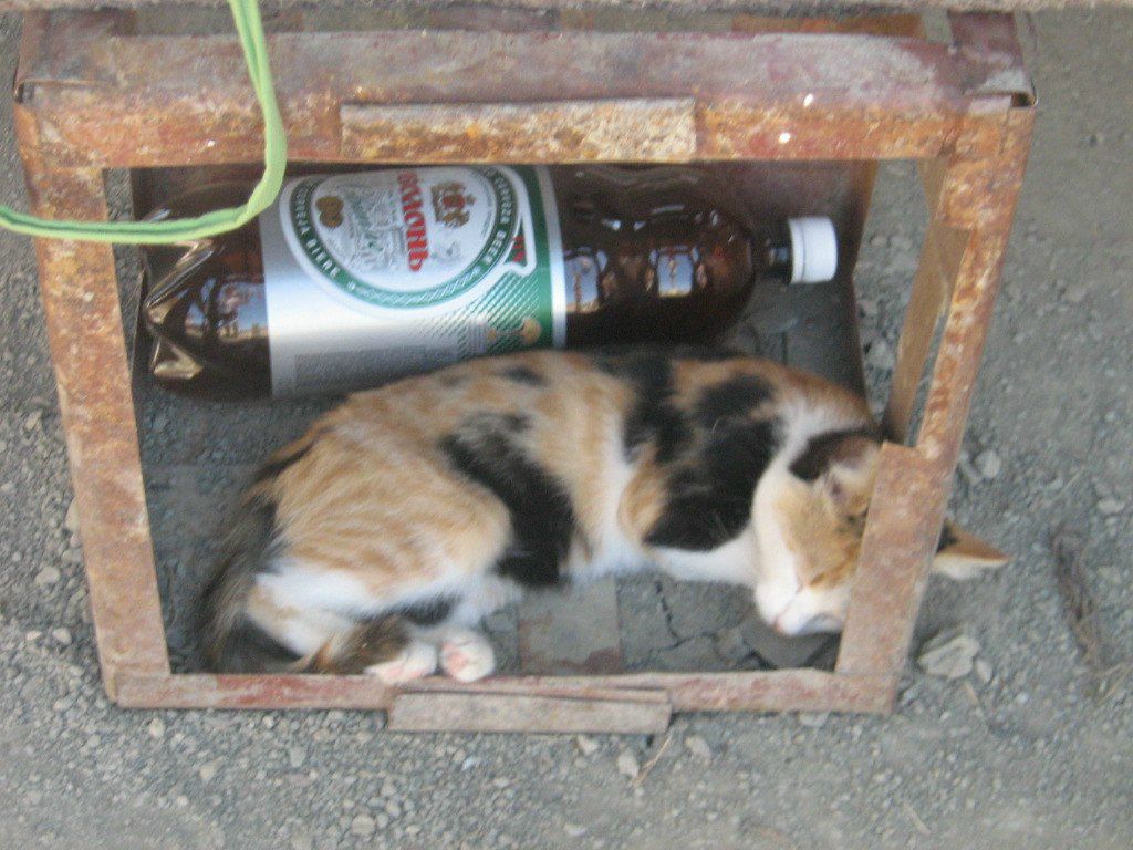 Виталий Винокуров | Днепр (Днепропетровск)