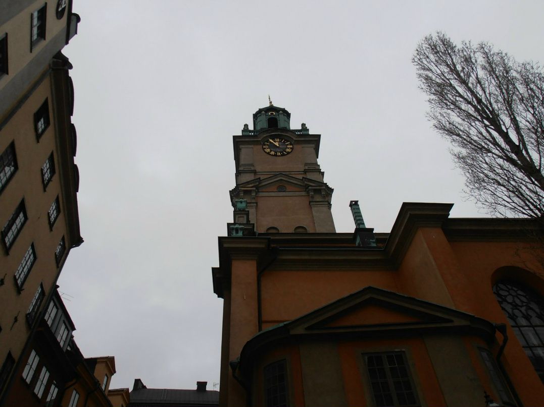 Наталья Кардаш | Минск