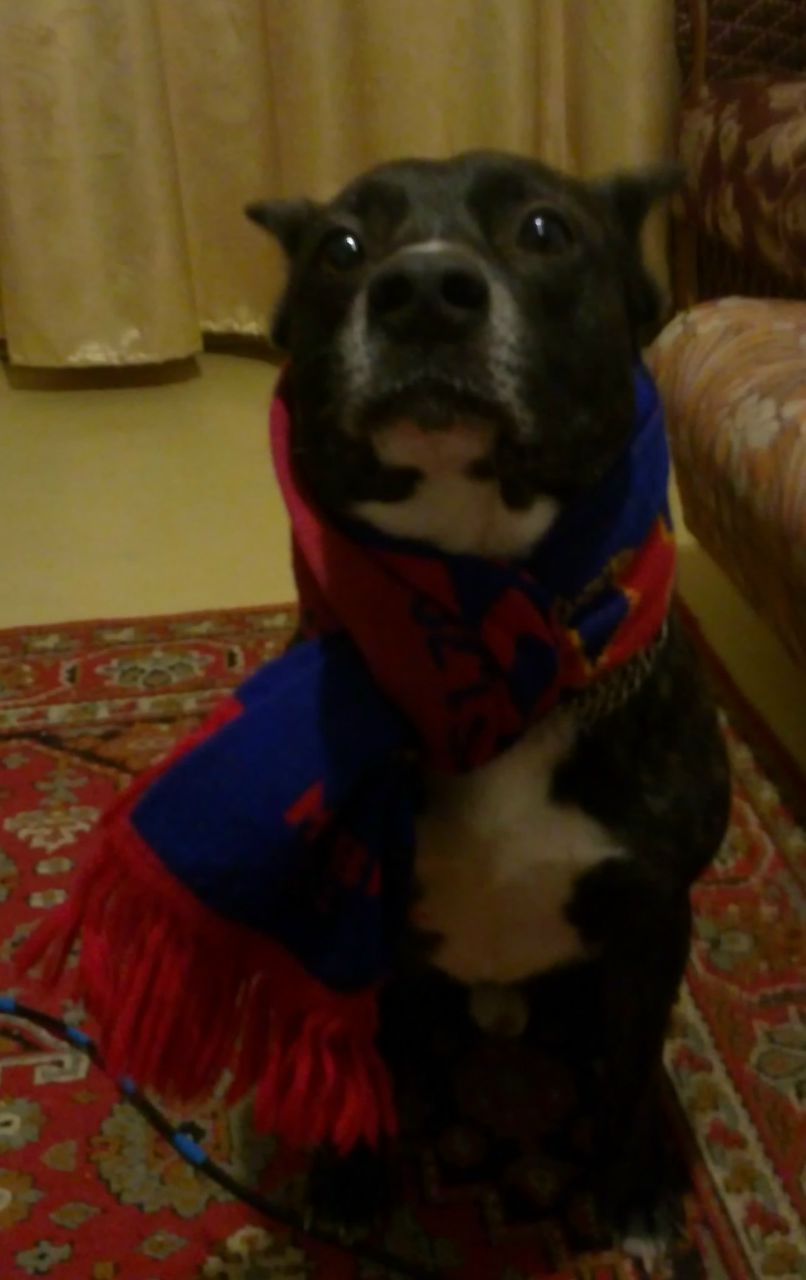 Денис Клоков | Москва