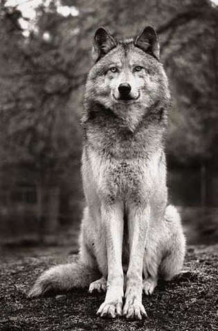 Сашенька Мартэн А&D | Калининград